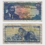 1975 - 20 Shillings