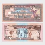 1996 - 20 Shillings