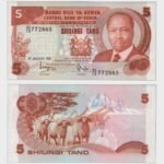 1981 - 5 Shillings