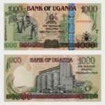 2008 - 1000 Shillings - ERROR