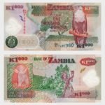 2011 - 1000 Kwacha