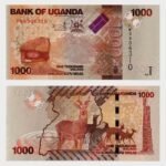 2022 - 1000 Shillings
