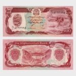 1991 - 100 Afghanis