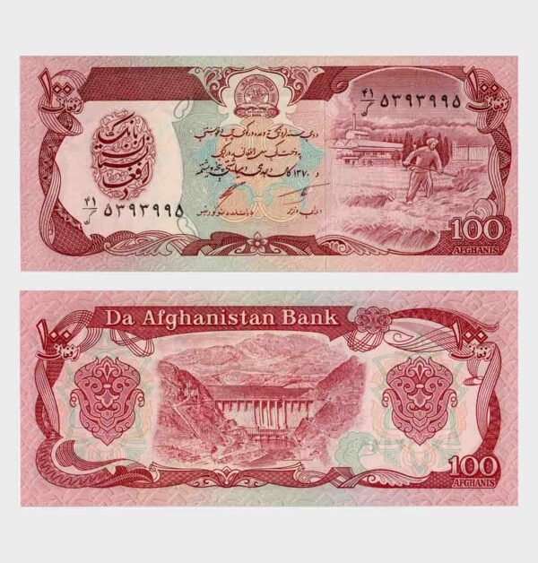 1991 - 100 Afghanis