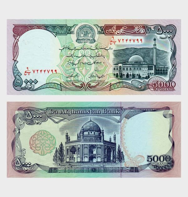 1993 - 5000 Afghanis
