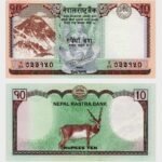 2017 - 10 Rupees