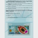 1999 - 2000 Lei - FOLDER