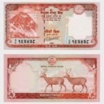 2020 - 20 Rupees