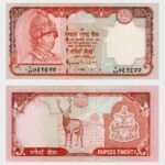 2004 - 20 Rupees