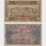 1919 - 20 Dinara / 80 Kruna