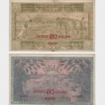 1919 - 20 Dinara / 80 Kruna