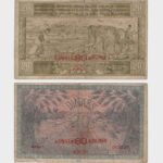 1919 - 20 Dinara / 80 Kruna