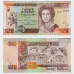 2010 - 20 Dollars