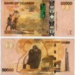 2010 - 50.000 Shillings