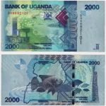 2015 - 2000 Shillings