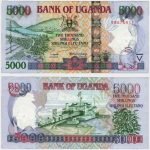 2004 - 5000 Shillings