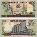 2003 - 1000 Shillings