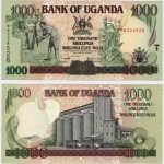2001 - 1000 Shillings