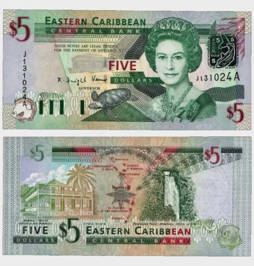 #CO11449 - East Caribbean States 2003 - 5 Dollars - Image 1